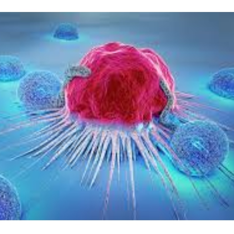 اليابان: NMN يقاوم الشيخوخة الخلايا المناعية ويمنع 71.4 ٪ نمو الورم